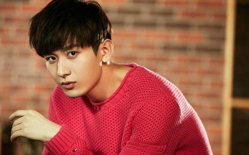 成毅娱乐八卦爆料,揭秘明星背后的故事与争议  第1张