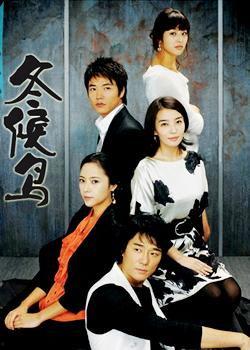 韩剧冬鸟在线观看,冬日里的温暖邂逅 第1张 韩剧冬鸟在线观看,冬日里的温暖邂逅 第1张